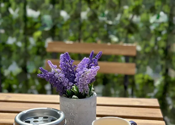 Artistic For 4 Guests In * Burgas City